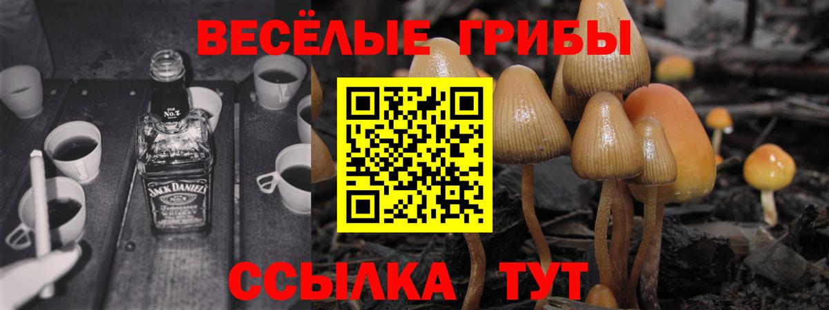 Галлюциногенные грибы Magic Shrooms  Вход с VPN  Аргун 